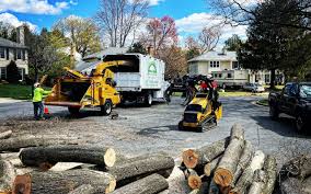 How Our Tree Care Process Works  in  Fairplay, GA